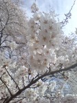 20100401152749.jpg