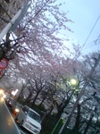 20100403180644.jpg