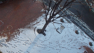 s-DSC00218.jpg