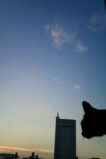 0917そわか.な空