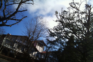 sFxCam_1292116237699.jpg